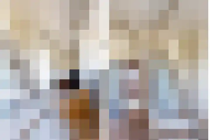Houtlaan 17 Leiden thumbnail 49