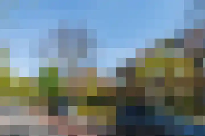 Houtlaan 17 Leiden thumbnail 59