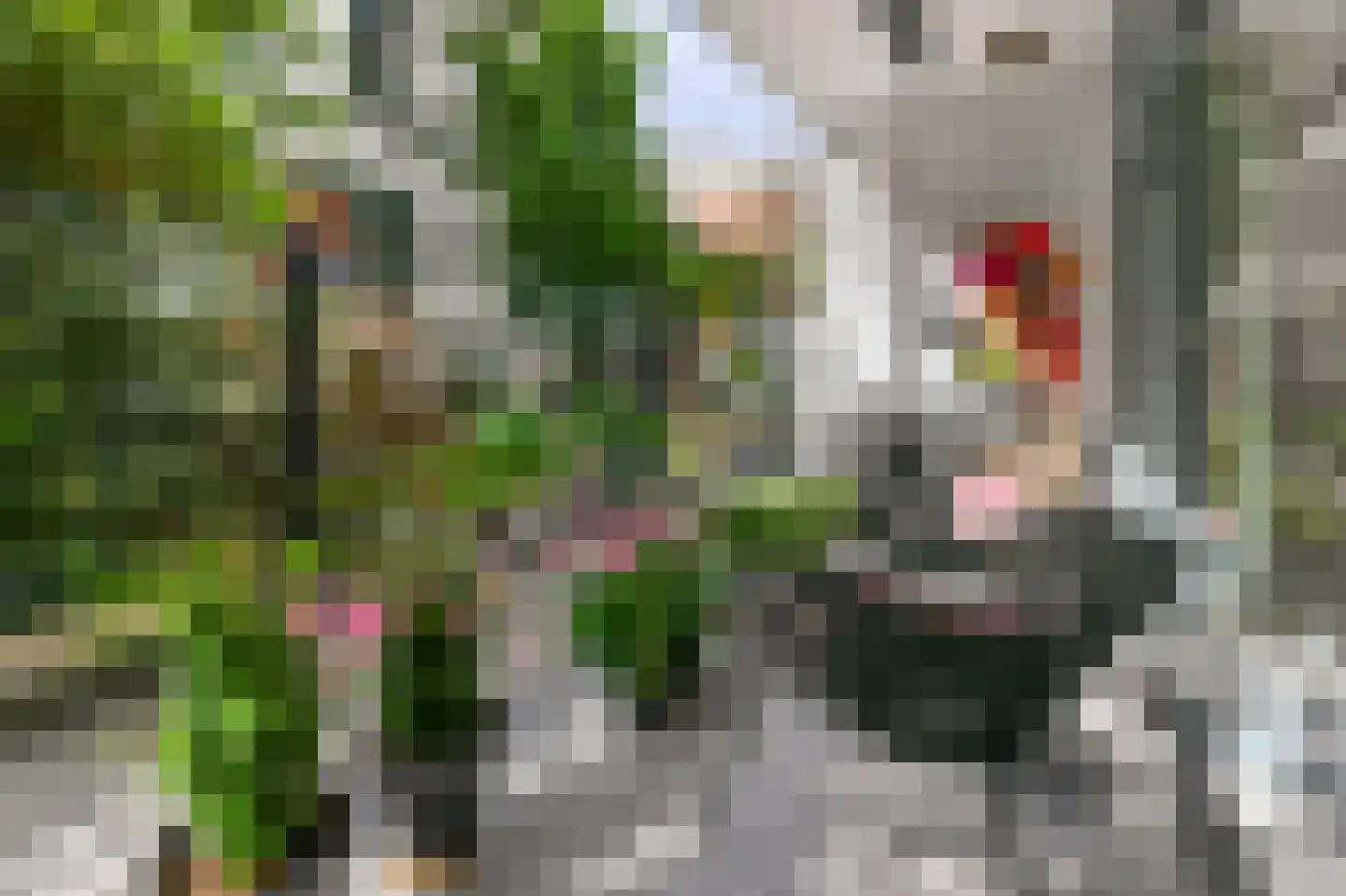 Houtlaan 20 B Rotterdam thumbnail 10