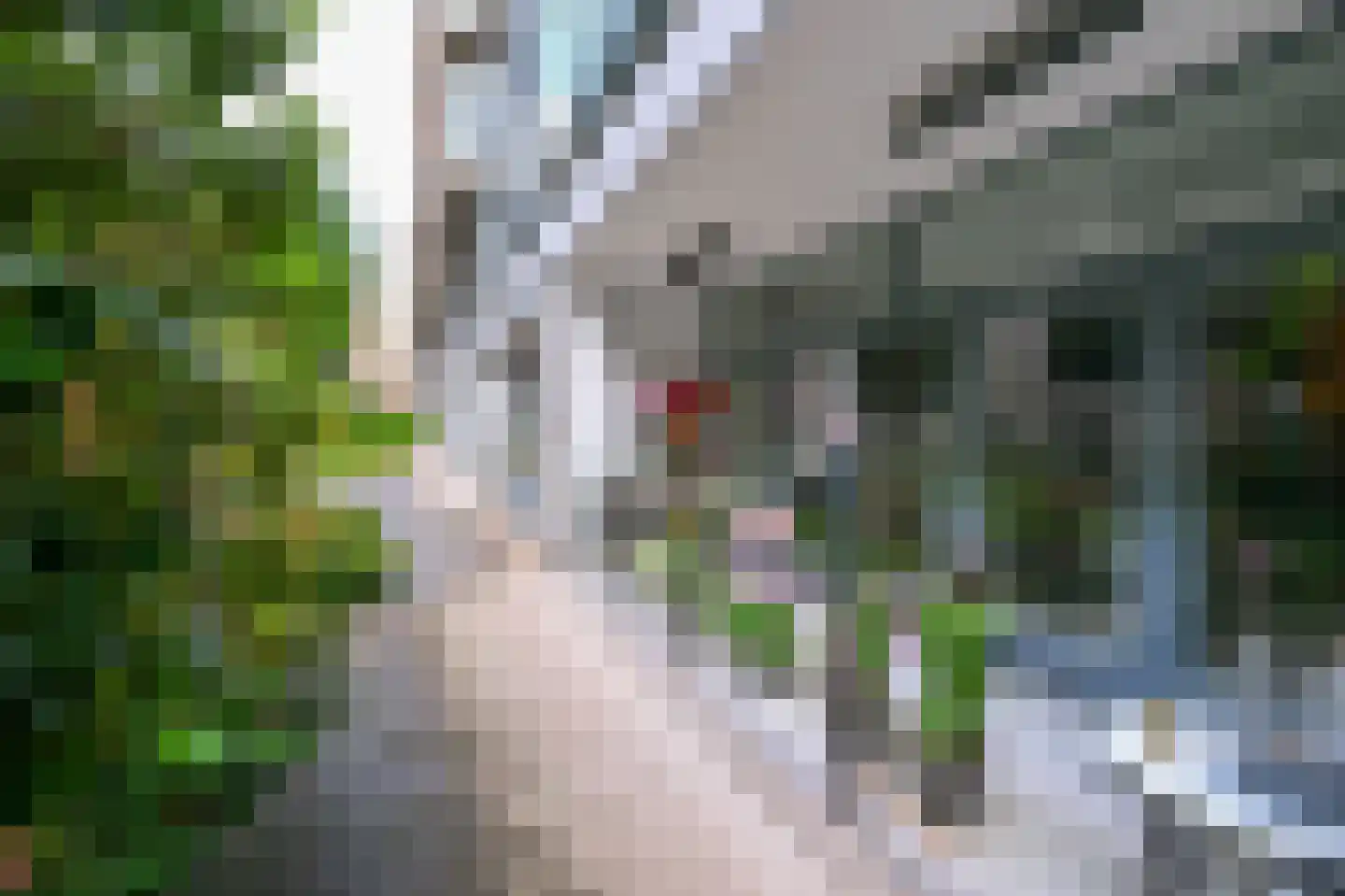 Houtlaan 20 B Rotterdam thumbnail 11