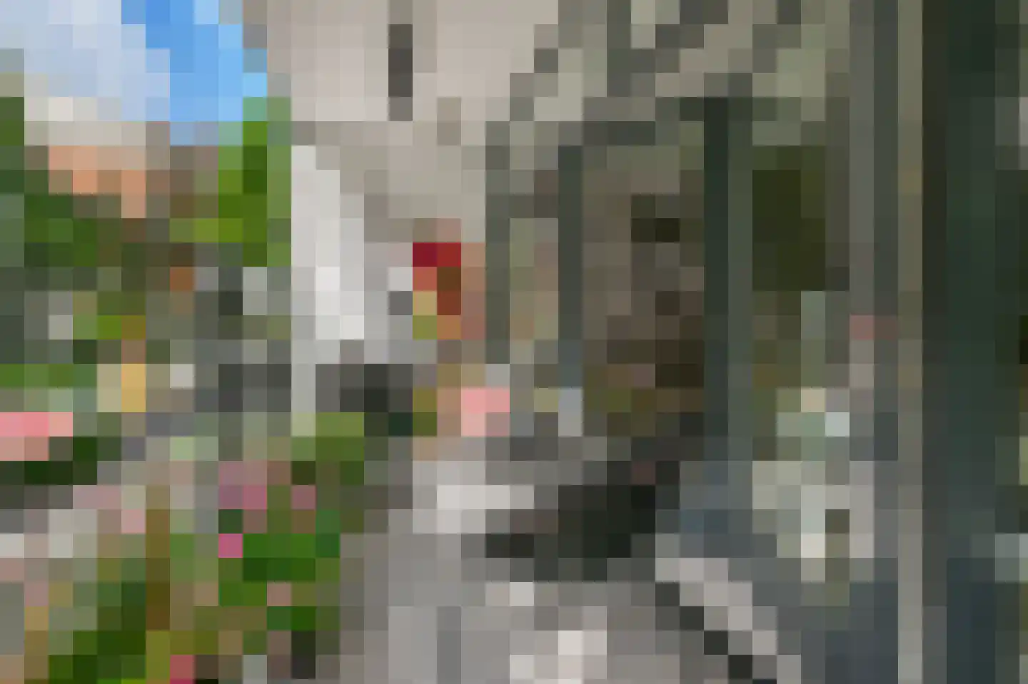 Houtlaan 20 B Rotterdam thumbnail 12