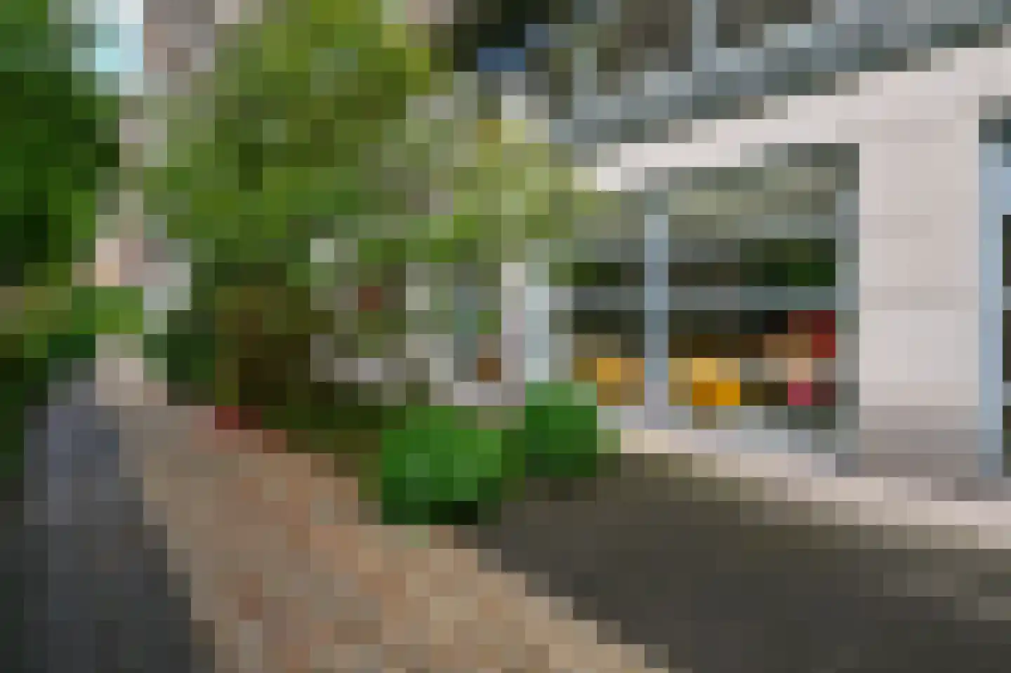 Houtlaan 20 B Rotterdam thumbnail 34