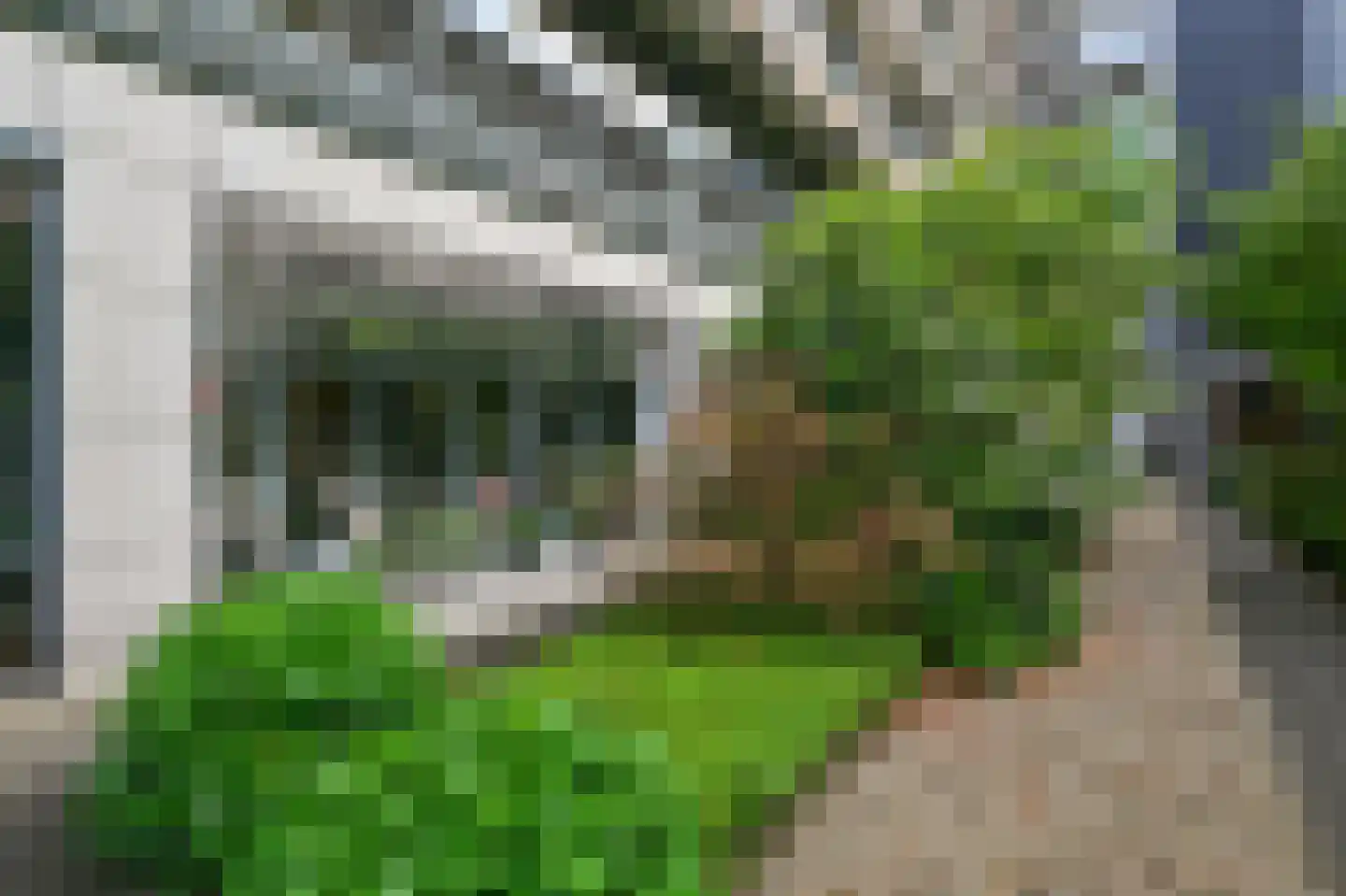 Houtlaan 20 B Rotterdam thumbnail 35