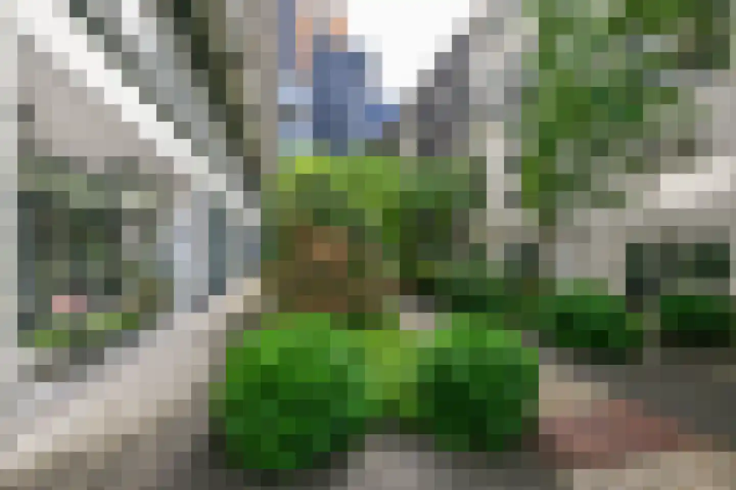 Houtlaan 20 B Rotterdam thumbnail 36