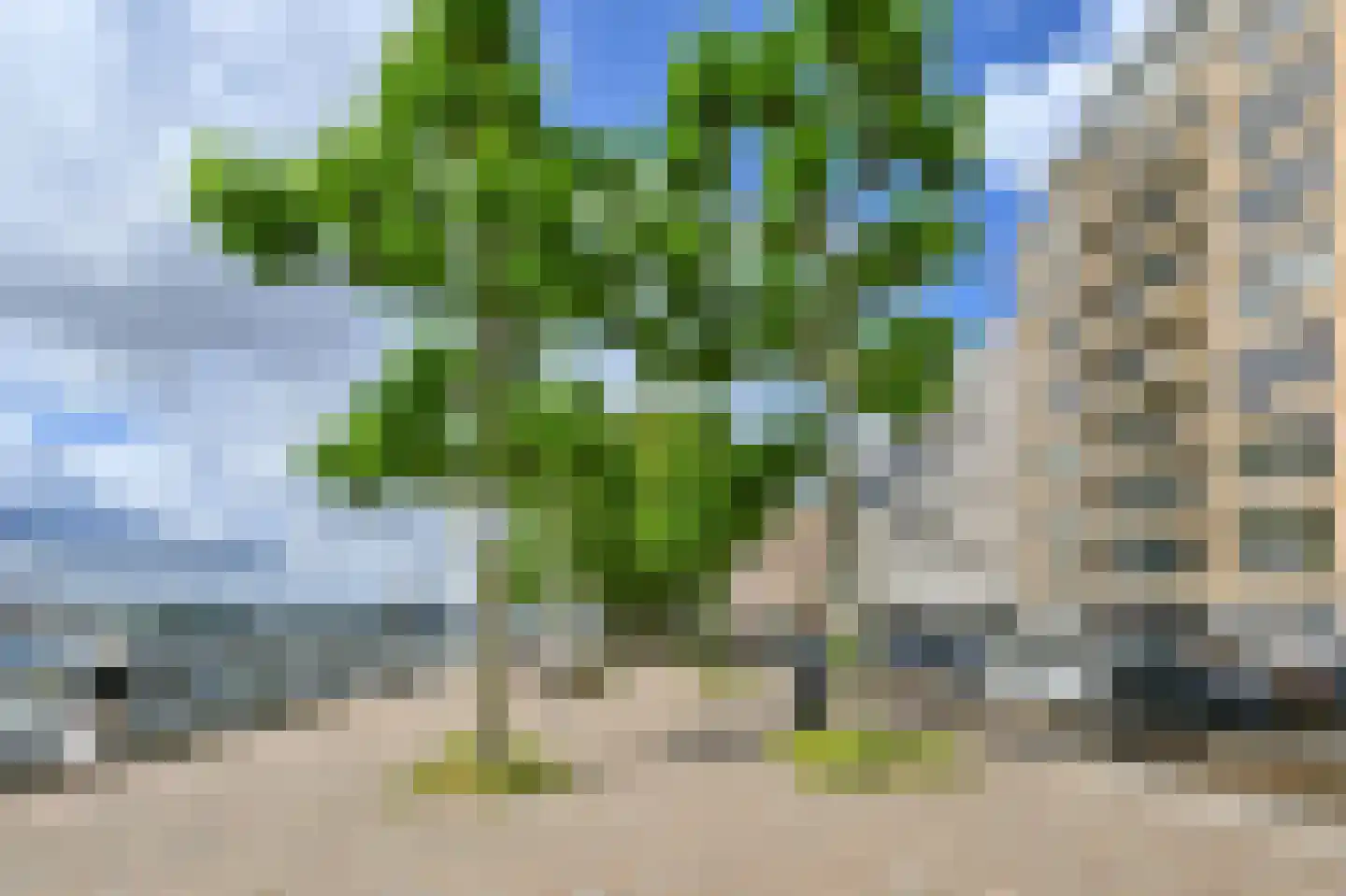 Houtlaan 20 B Rotterdam thumbnail 47