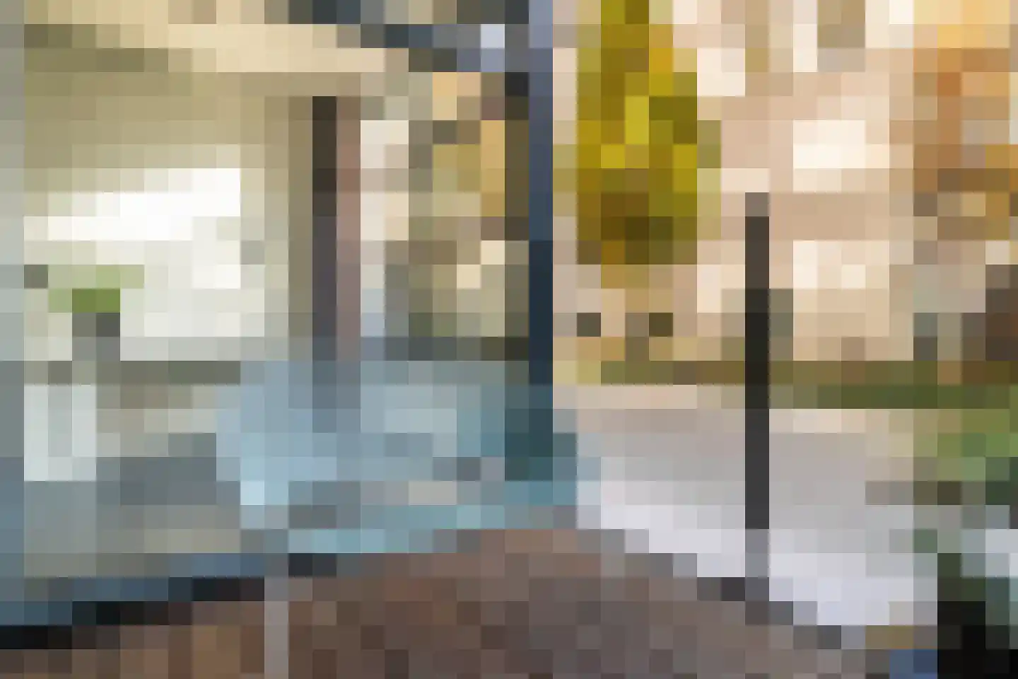 Houtlaan 20 E L Rotterdam thumbnail 12