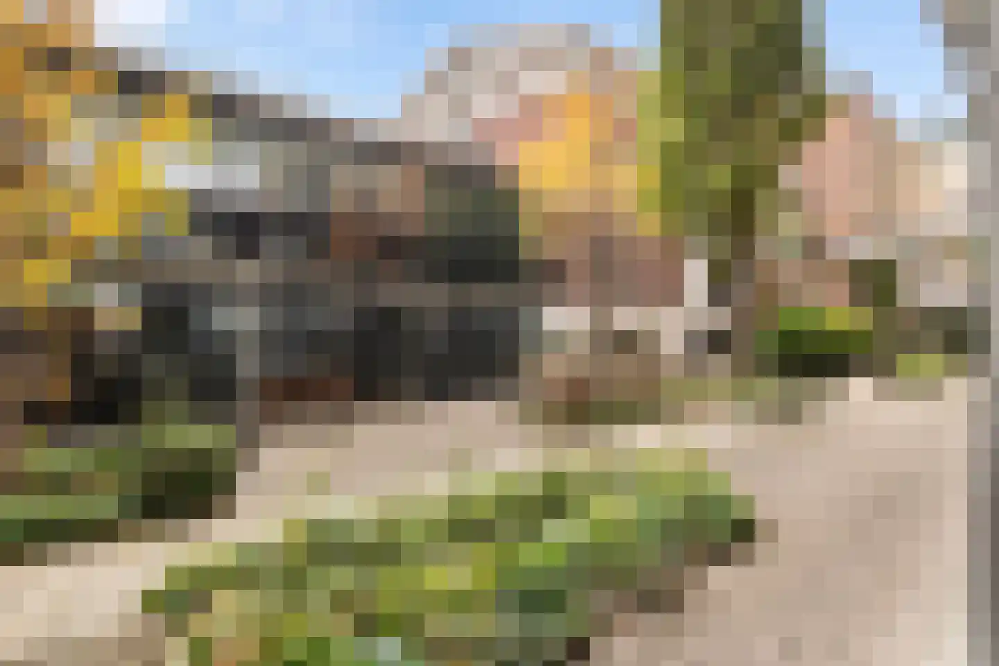 Houtlaan 20 E L Rotterdam thumbnail 13