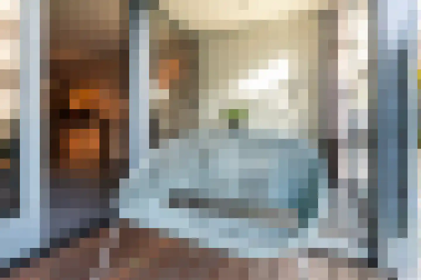 Houtlaan 20 E L Rotterdam thumbnail 14
