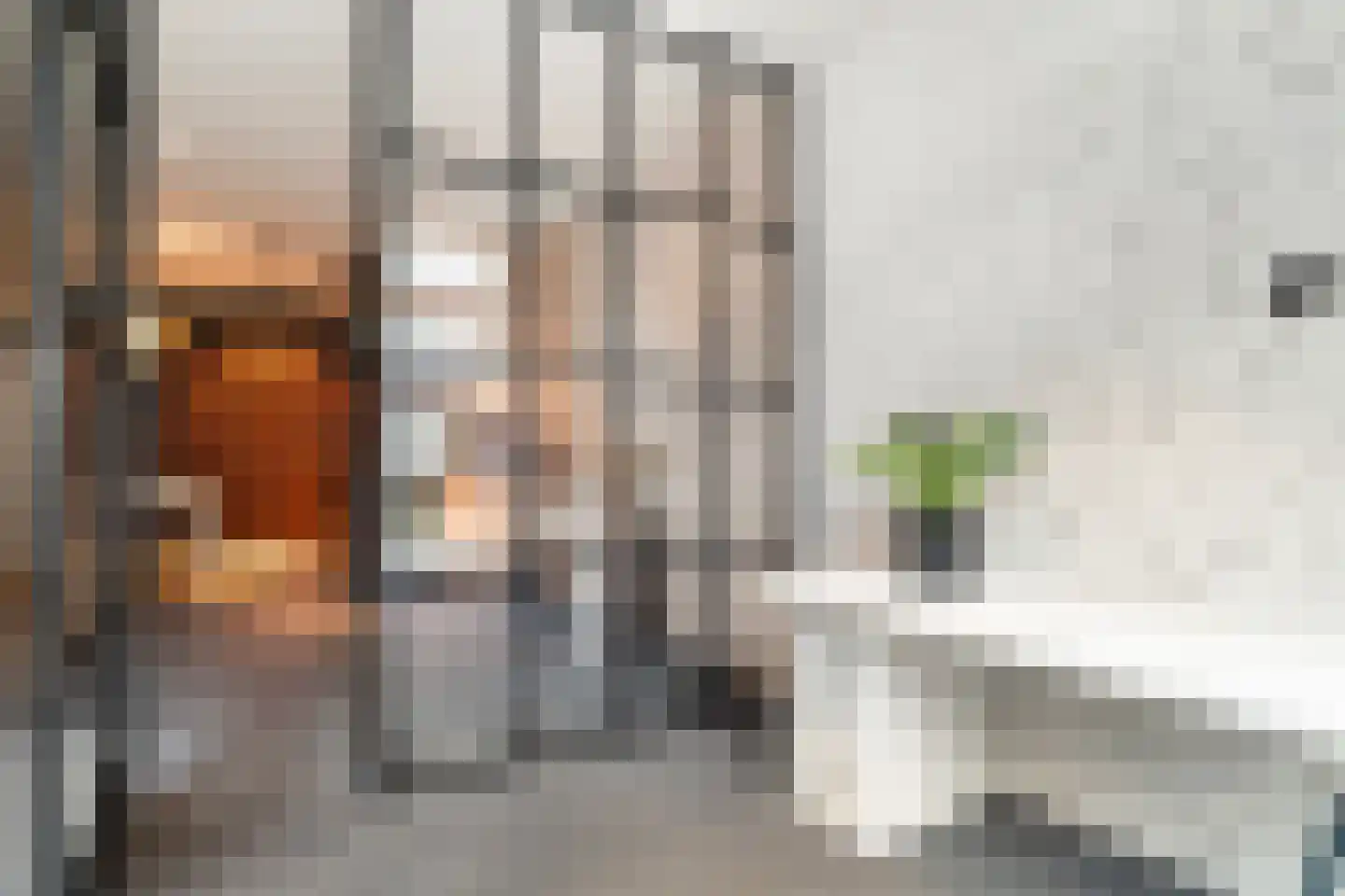 Houtlaan 20 E L Rotterdam thumbnail 15