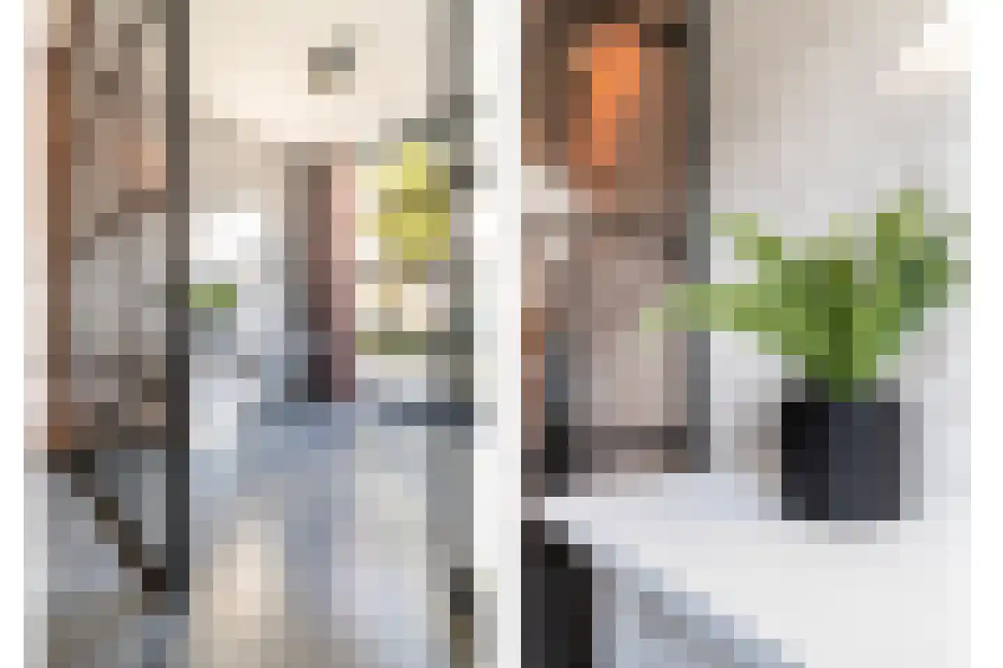 Houtlaan 20 E L Rotterdam thumbnail 17