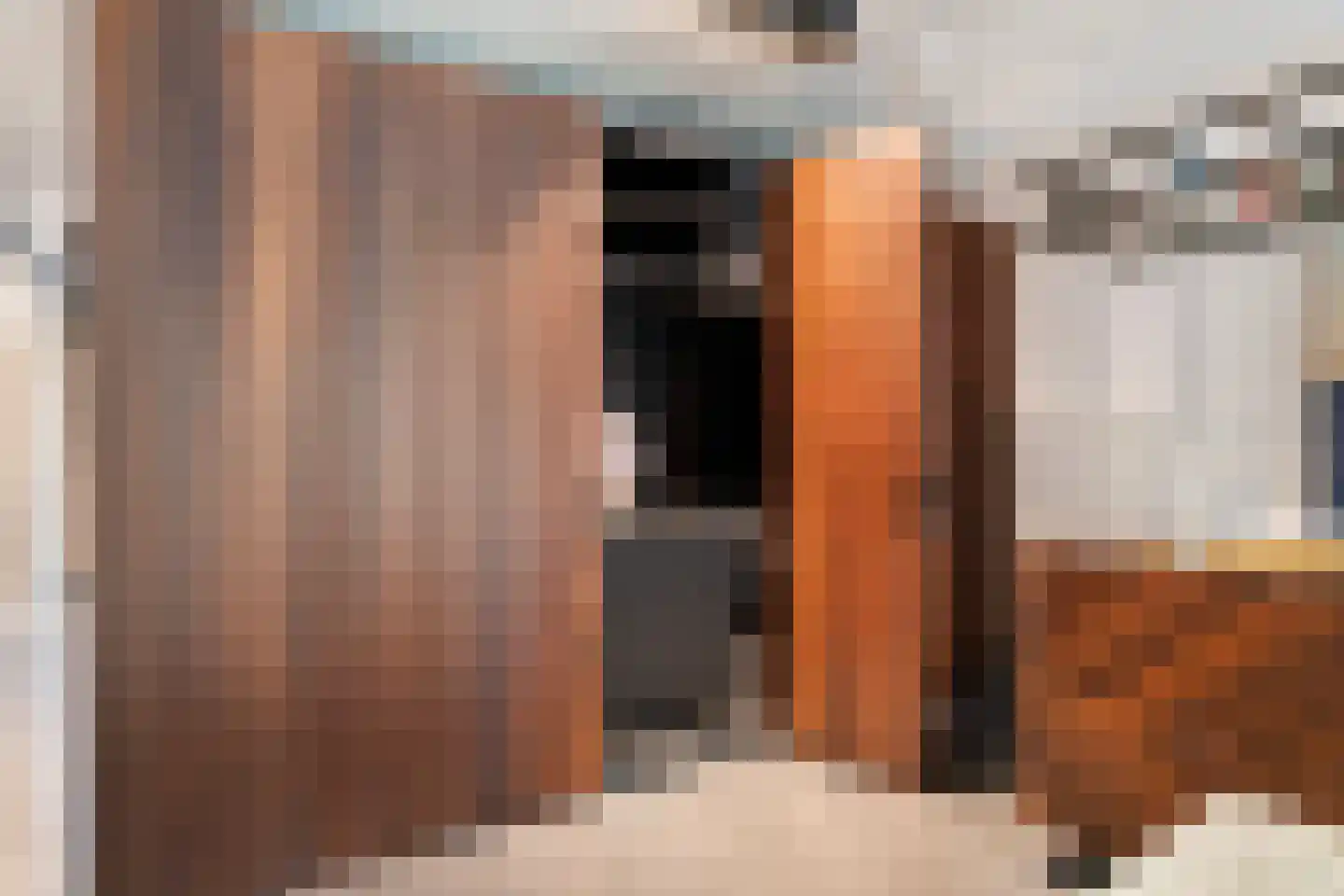 Houtlaan 20 E L Rotterdam thumbnail 20