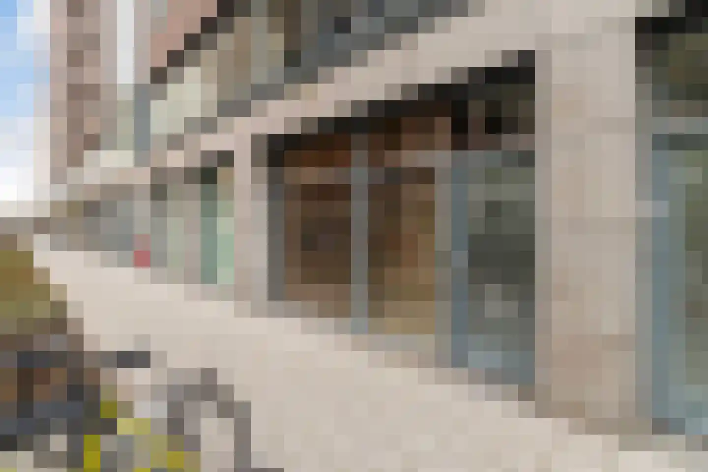 Houtlaan 20 E L Rotterdam thumbnail 23