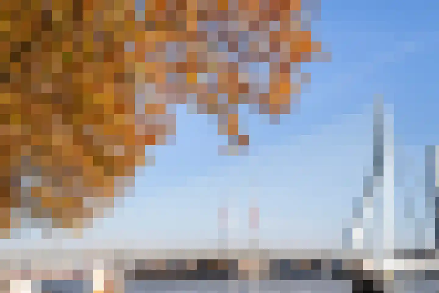 Houtlaan 20 E L Rotterdam thumbnail 38