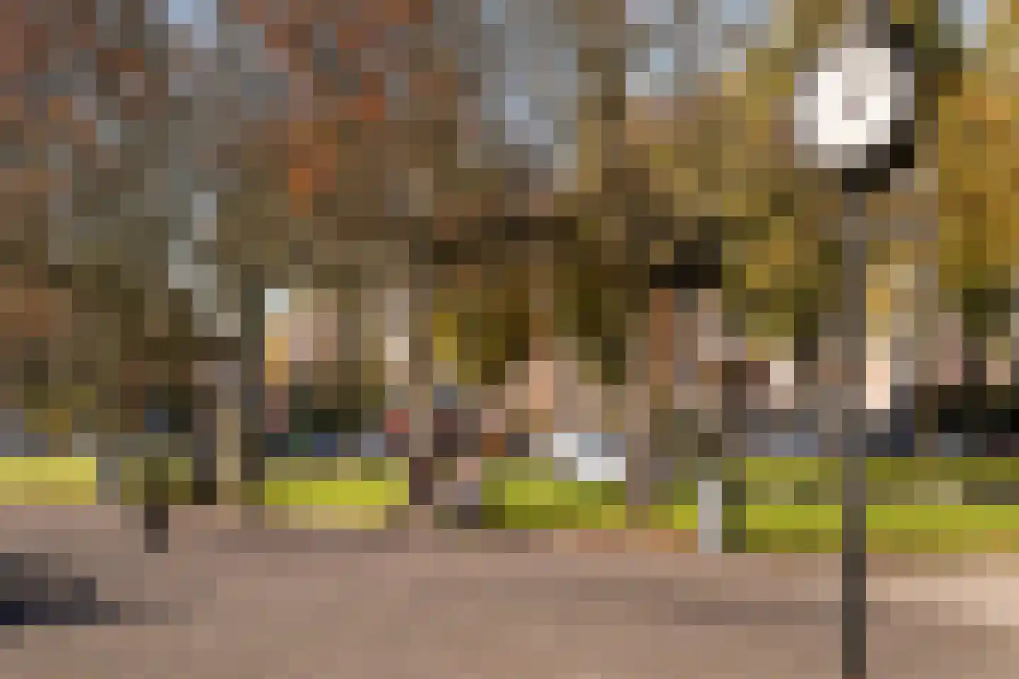 Houtlaan 20 E L Rotterdam thumbnail 42