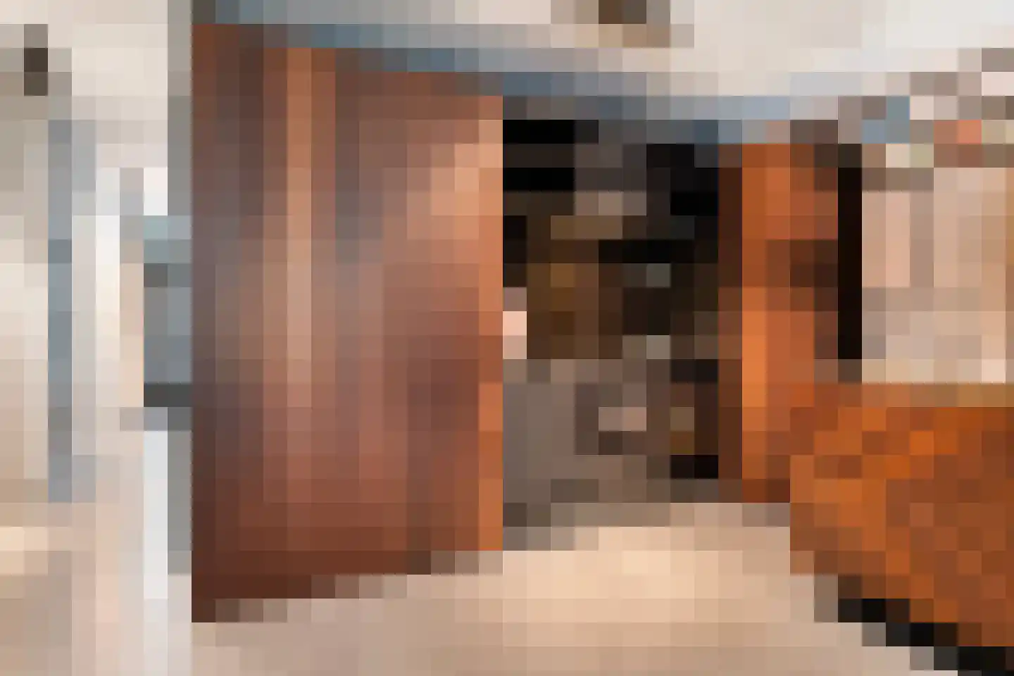 Houtlaan 20 E L Rotterdam thumbnail 7