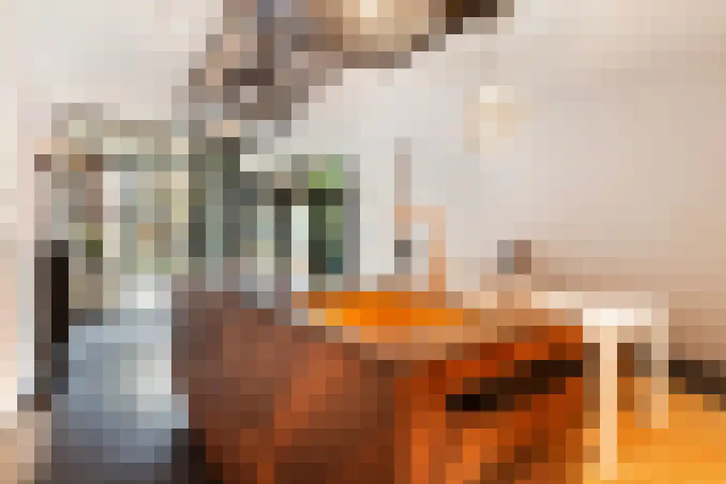 Houtlaan 20 E L Rotterdam thumbnail 9
