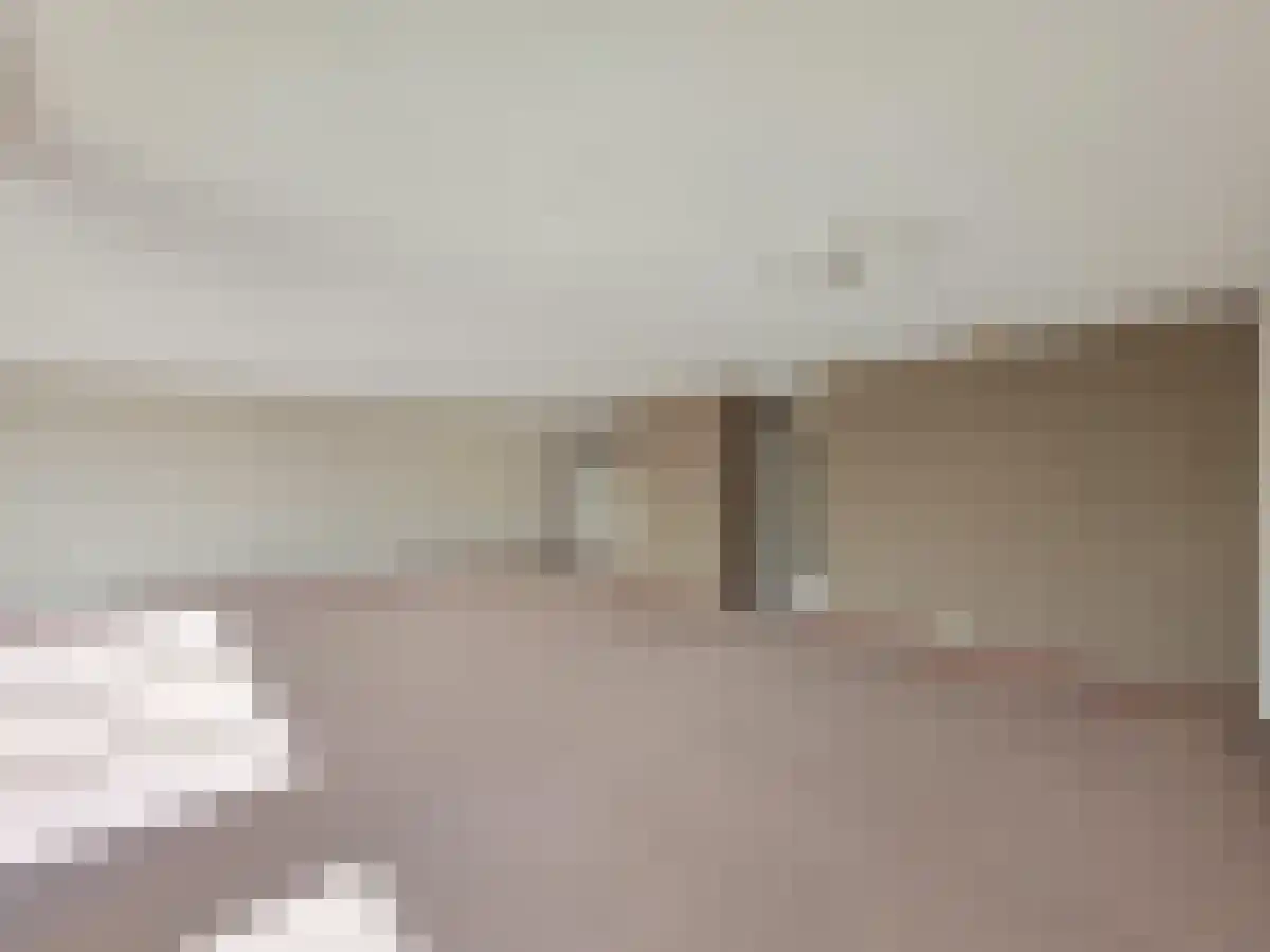 Houtlaan 20 Rotterdam thumbnail 5