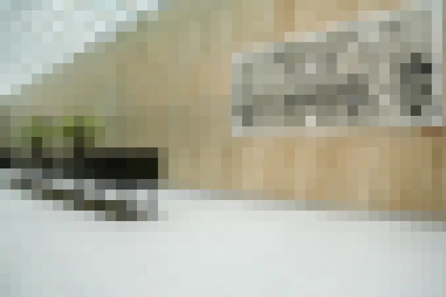 Houtlaan 239 Rotterdam thumbnail 9
