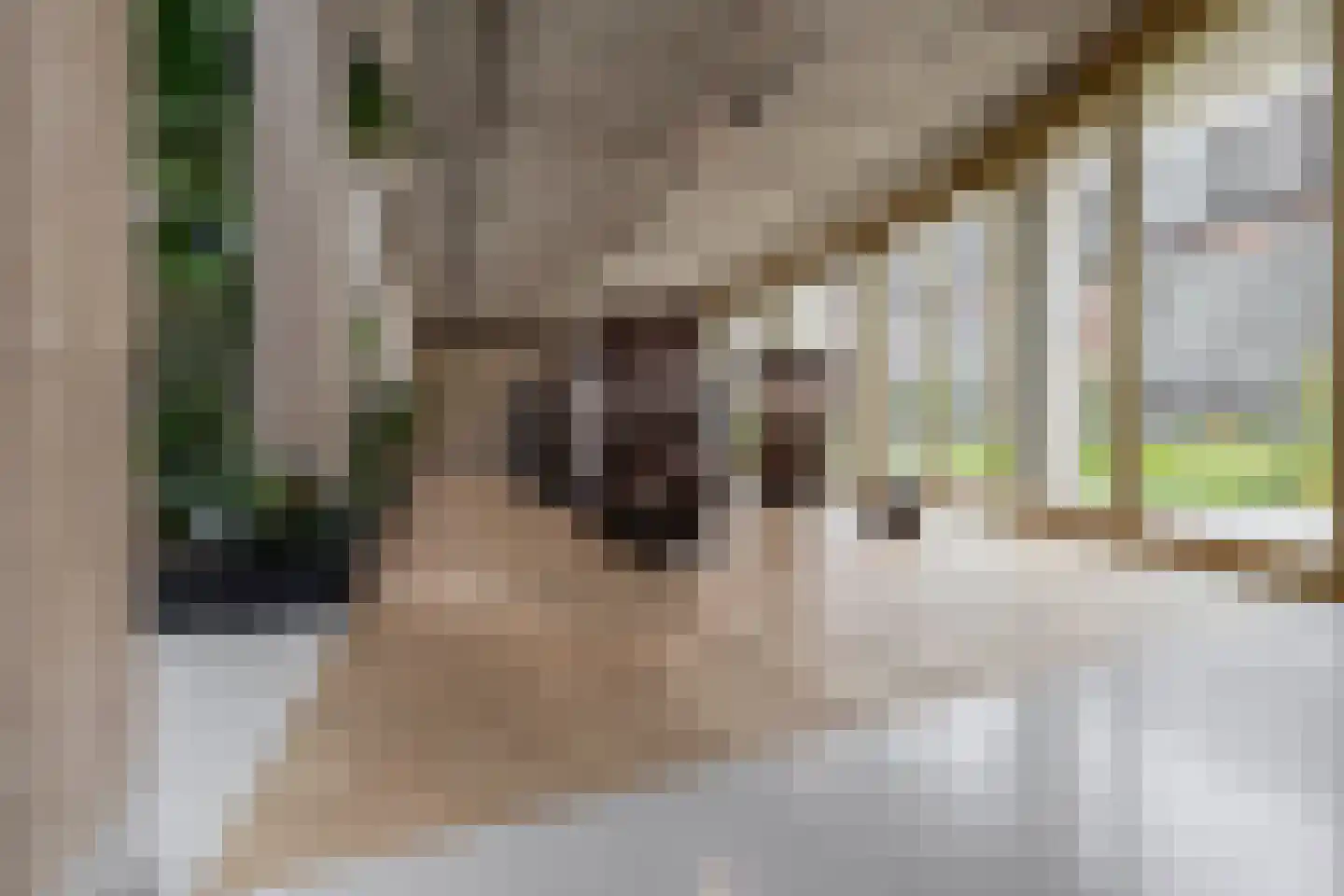 Houtlaan 259 Rotterdam thumbnail 12