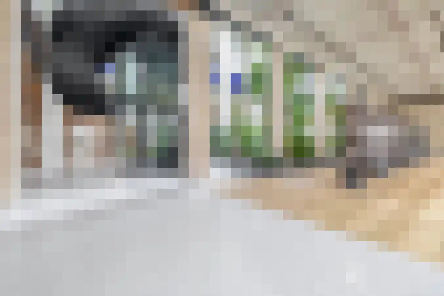 Houtlaan 259 Rotterdam thumbnail 6