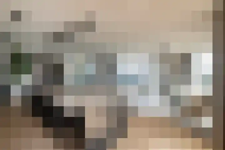 Houtlaan 261 Rotterdam thumbnail 11