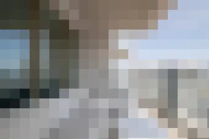 Houtlaan 261 Rotterdam thumbnail 17
