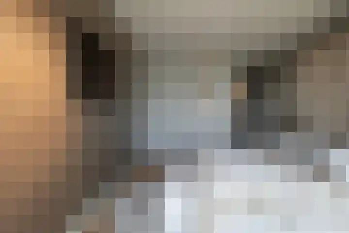 Houtlaan 261 Rotterdam thumbnail 35