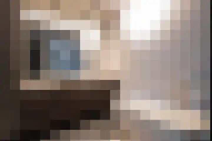 Houtlaan 261 Rotterdam thumbnail 38