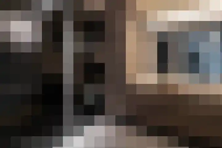 Houtlaan 261 Rotterdam thumbnail 39