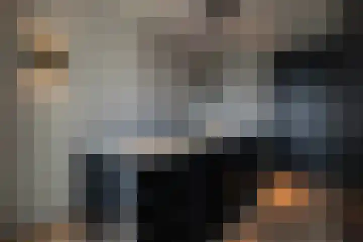 Houtlaan 261 Rotterdam thumbnail 45