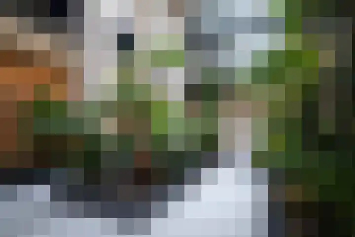 Houtlaan 261 Rotterdam thumbnail 50