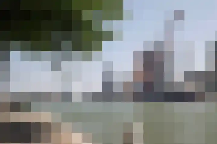 Houtlaan 261 Rotterdam thumbnail 56