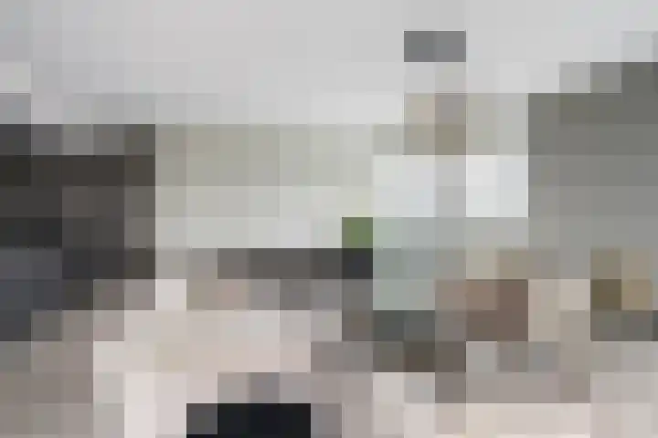 Houtlaan 269 Rotterdam thumbnail 16
