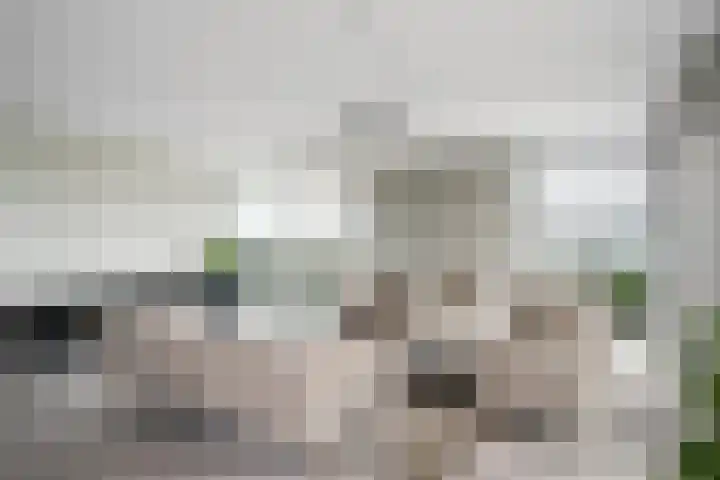 Houtlaan 269 Rotterdam thumbnail 17