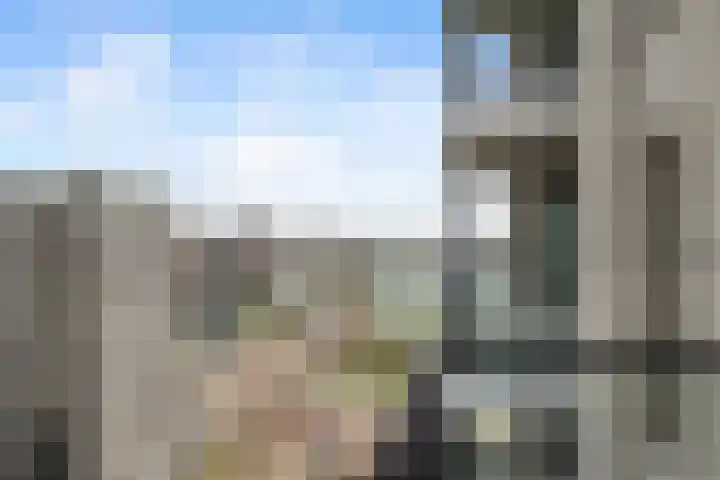 Houtlaan 269 Rotterdam thumbnail 34
