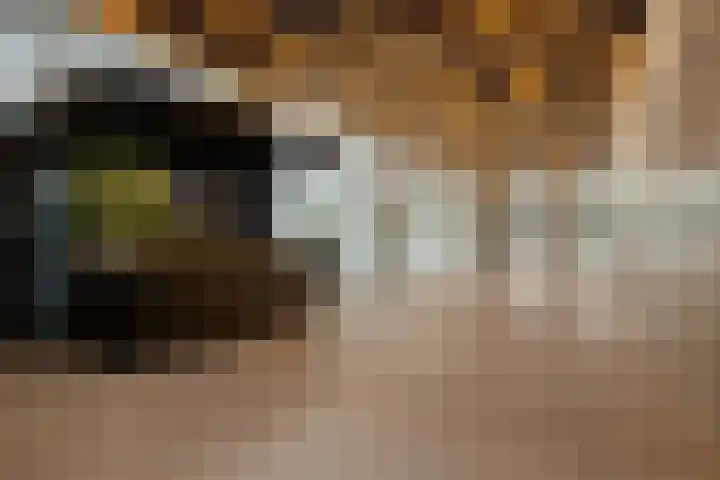 Houtlaan 269 Rotterdam thumbnail 37