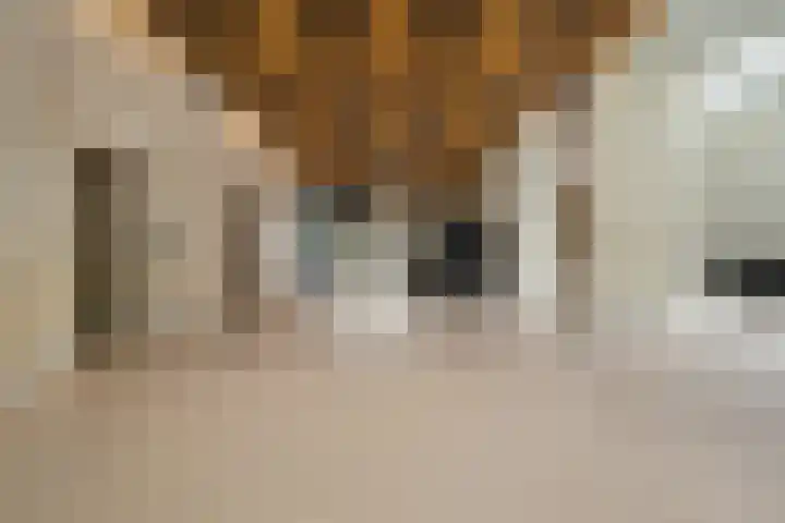Houtlaan 269 Rotterdam thumbnail 38