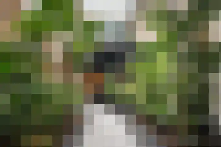 Houtlaan 269 Rotterdam thumbnail 39
