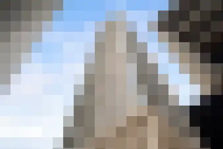 Houtlaan 269 Rotterdam thumbnail 42