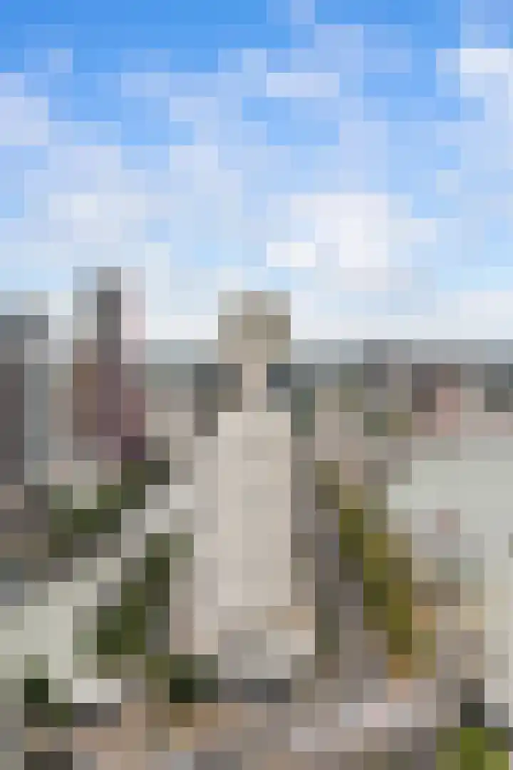 Houtlaan 269 Rotterdam thumbnail 46