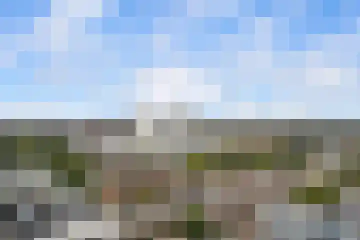 Houtlaan 269 Rotterdam thumbnail 48
