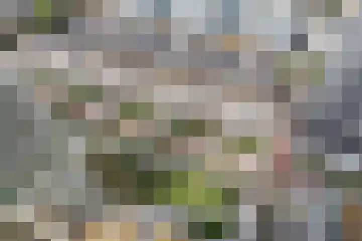 Houtlaan 269 Rotterdam thumbnail 53