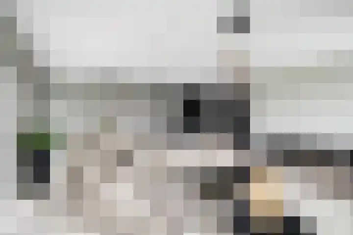 Houtlaan 269 Rotterdam thumbnail 6
