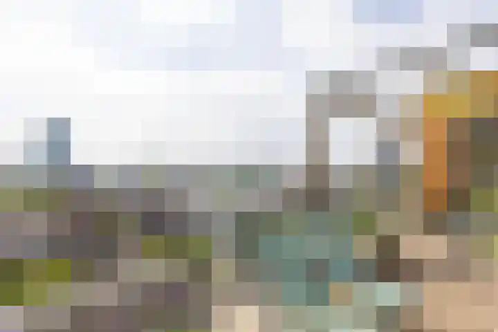 Houtlaan 28 F Rotterdam thumbnail 31