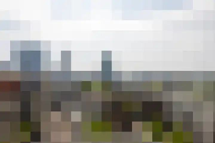 Houtlaan 28 F Rotterdam thumbnail 32