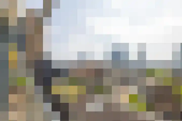 Houtlaan 28 F Rotterdam thumbnail 35