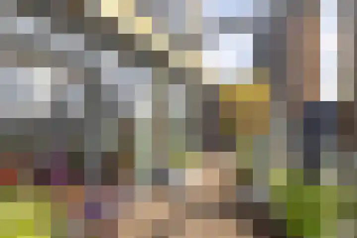 Houtlaan 28 F Rotterdam thumbnail 36