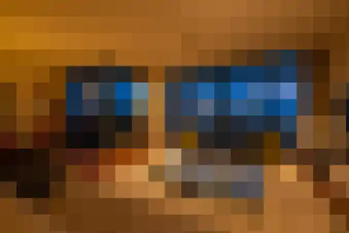 Houtlaan 28 F Rotterdam thumbnail 43