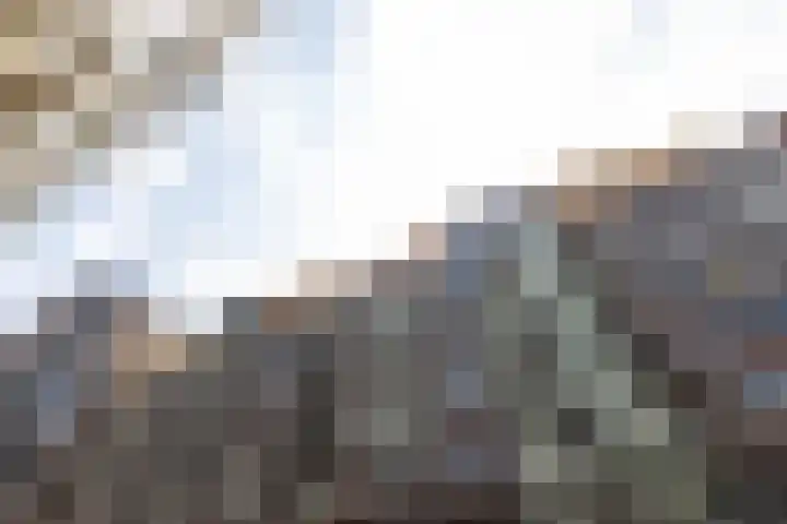 Houtlaan 28 F Rotterdam thumbnail 5