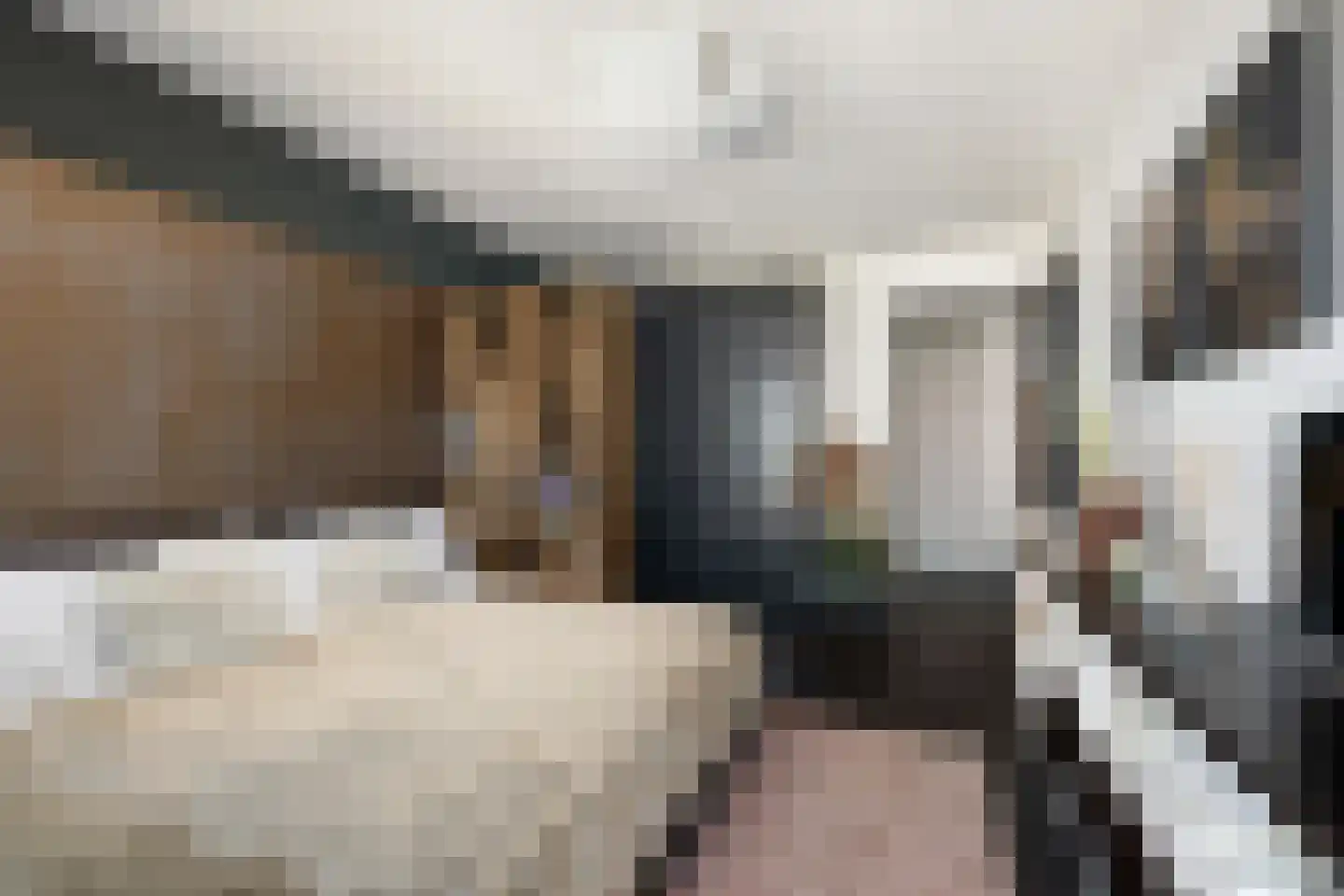 Houtlaan 287 Rotterdam thumbnail 32